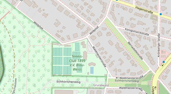 Tennisverein auf Satellitenbild