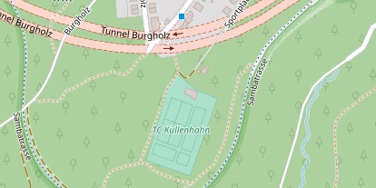 Tennisverein auf Satellitenbild