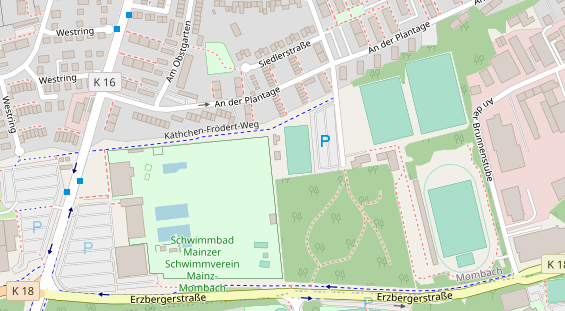 Tennisverein auf Satellitenbild