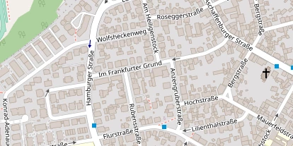 Tennisverein auf Satellitenbild