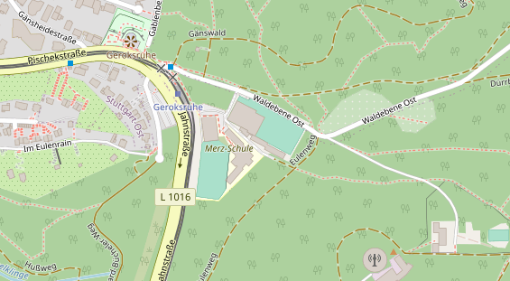 Tennisverein auf Satellitenbild