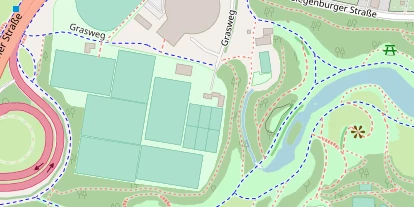 Tennisverein auf Satellitenbild