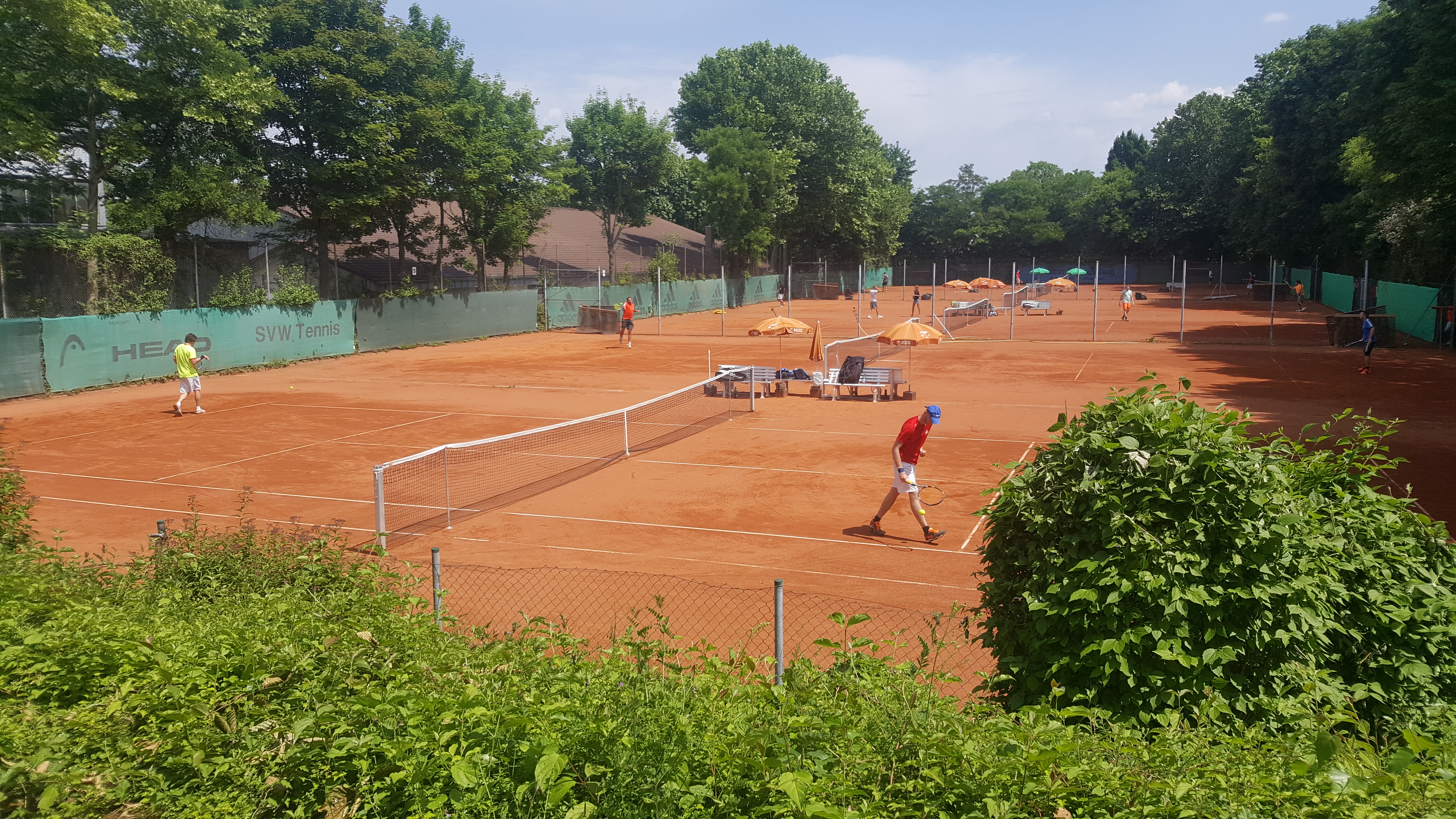 Tennisvereine: Blick über die Plätze - SVW Mainz
