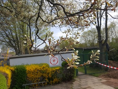 Tennisverein - Parkplätze vor der Tennisanlage: Ja - Nieder-Olm - Der Eingang zum Tennisparadies - SVW Mainz