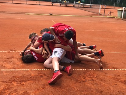 Tennisverein - Mannschaften gemeldet für dieses Jahr: Ja - Hochheim am Main - Jubel-Sauhaufen - SVW Mainz
