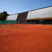 Tennisverein: Tennisfreunde Budenheim