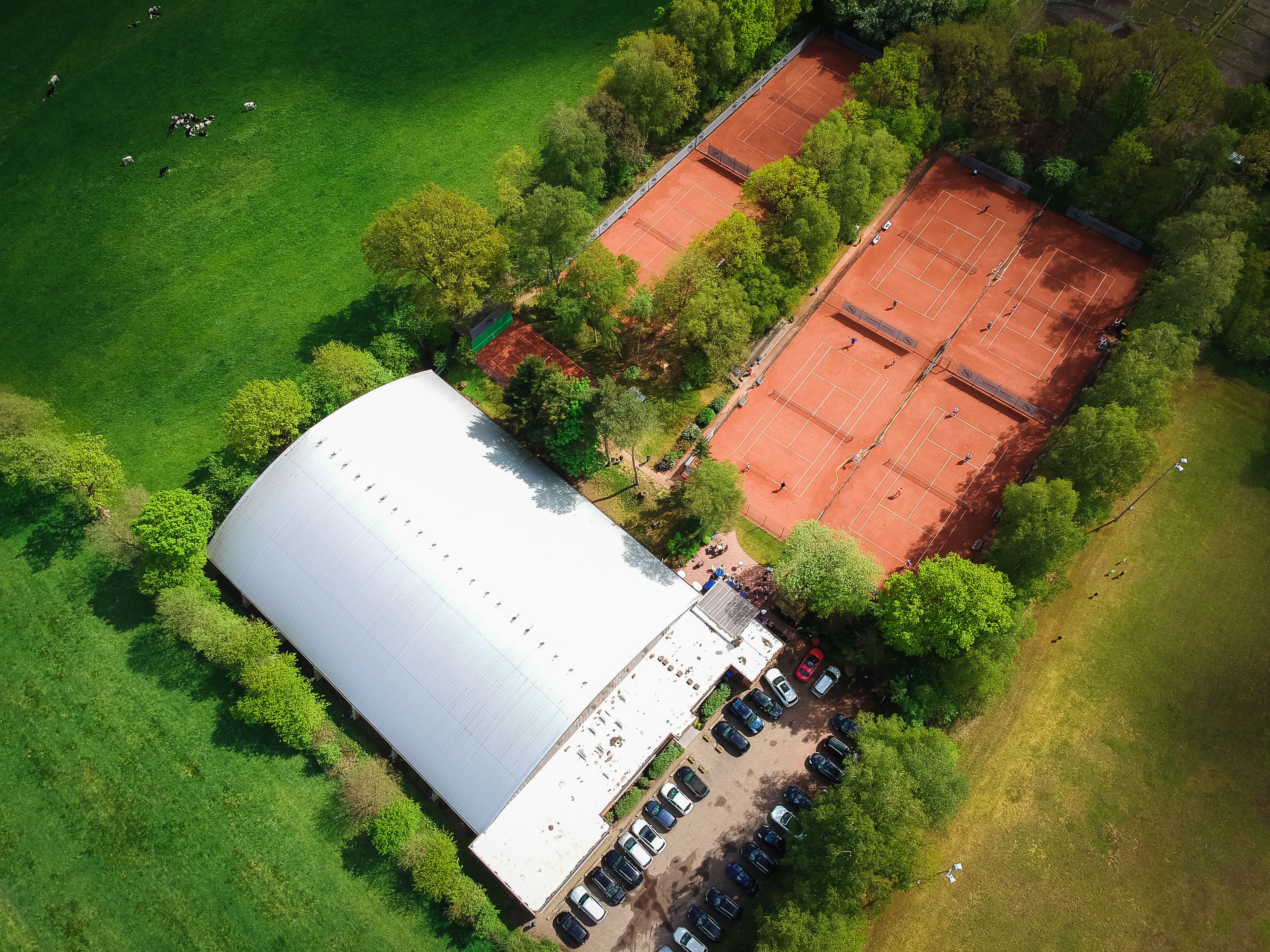 Tennisportal - TV Schwanewede