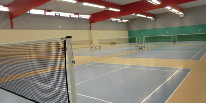 Tennisverein - Hallenboden / Belag: Teppich - Deutschland - Sportpark Mainz Mombach