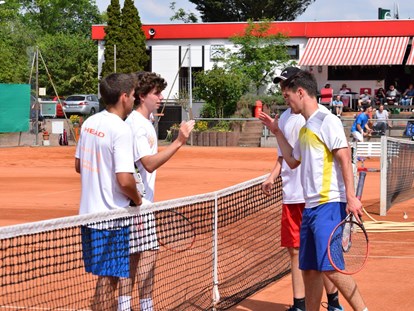 Tennisverein - Mannschaften gemeldet für dieses Jahr: Ja - Deutschland - Tennis Club Rot-Weiß e.V. Groß-Gerau