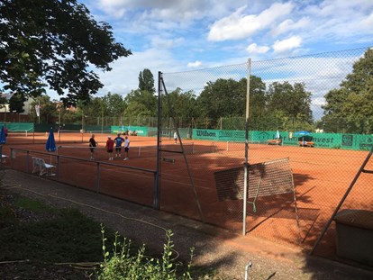 Tennisverein - Anzahl Tennisplätze: 4 - Hochheim am Main - MTV 1861 e.V. Abteilung Tennis