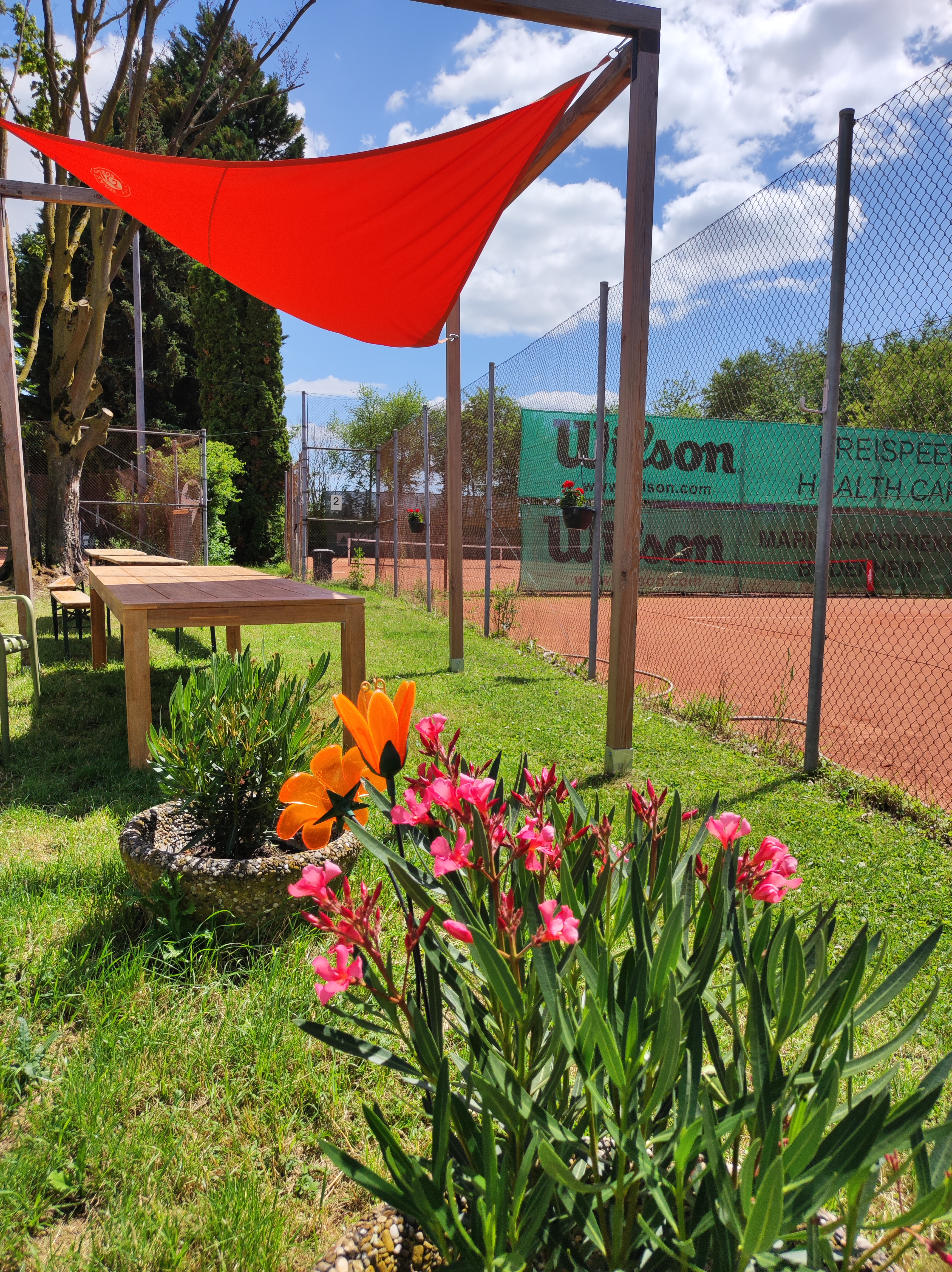 Tennisportal: TSC Freispeed Bodenheim e.V.