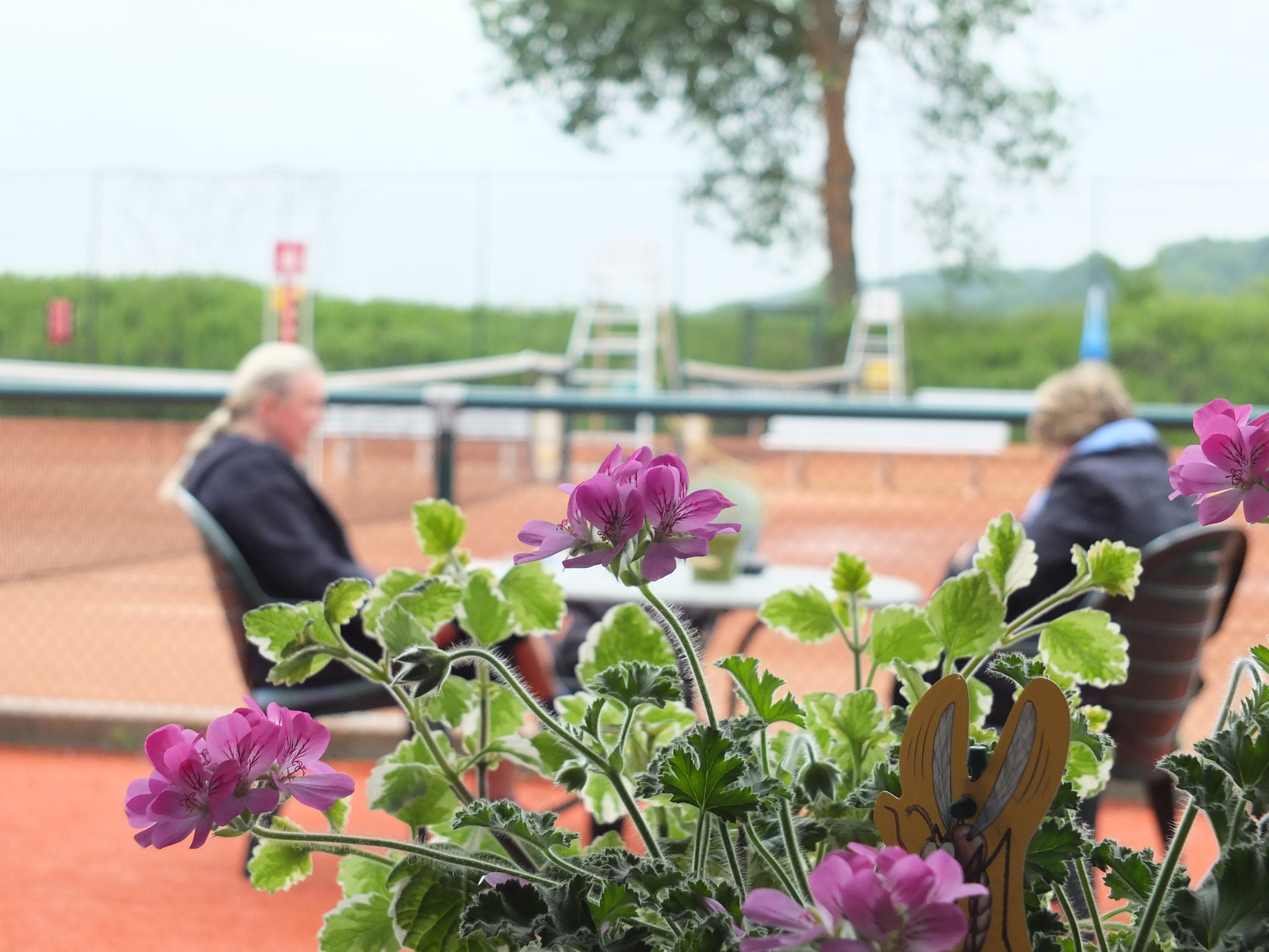 Tennisvereine - Nordrhein-Westfalen - TC Dornberg e.V.