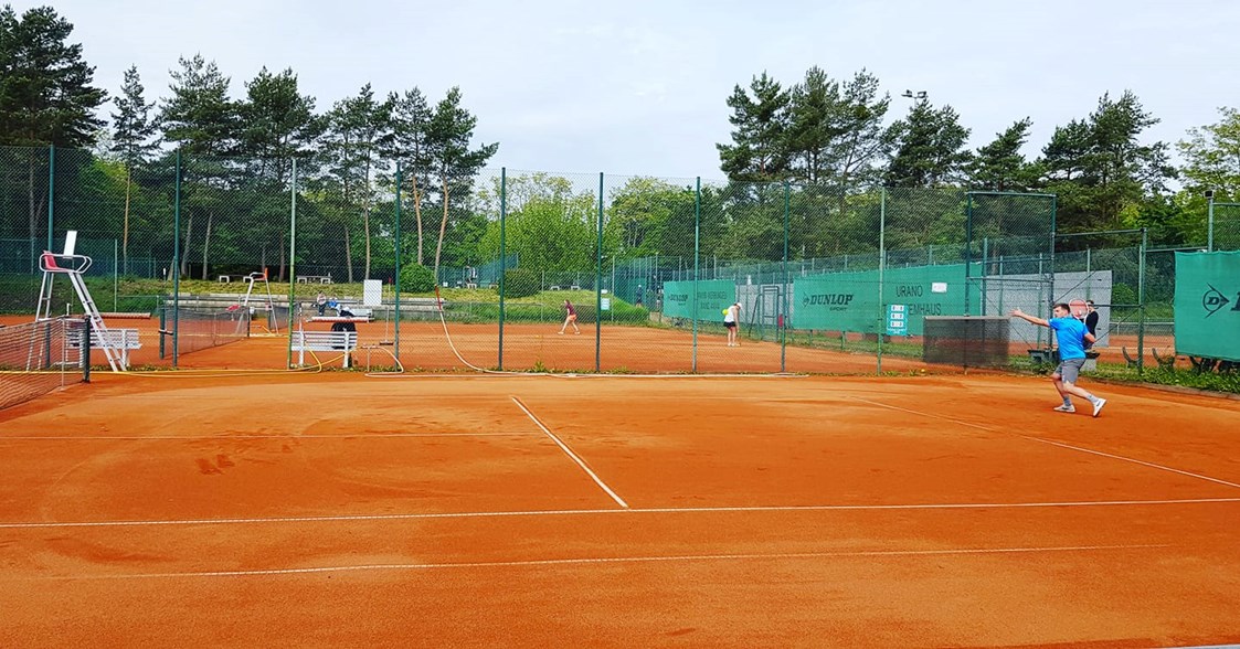 Tennisportal: 13 Plätze mit Tennis für Jedermann - DJK Mainzer Sand