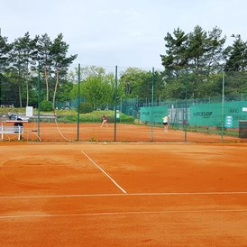 Tennisportal: 13 Plätze mit Tennis für Jedermann - DJK Mainzer Sand