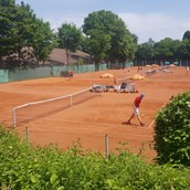 Tennisportal - Blick über die Plätze - SVW Mainz