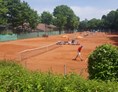 Tennisportal: Blick über die Plätze - SVW Mainz