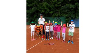 Tennisverein - Meine Portfolios: Fitness-Tennis - Gumbsheim - Ballschule im Sommercamp - DTB-Trainerassistent Gunter Krambs
