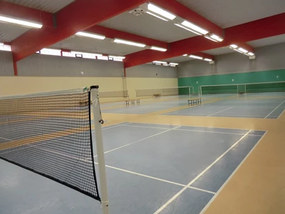 Tennisvereine - Hallenboden / Belag: Teppich - Sportpark Mainz Mombach