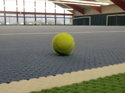 Tennisvereine - Hallenboden / Belag: Teppich - Sportpark Mainz Mombach