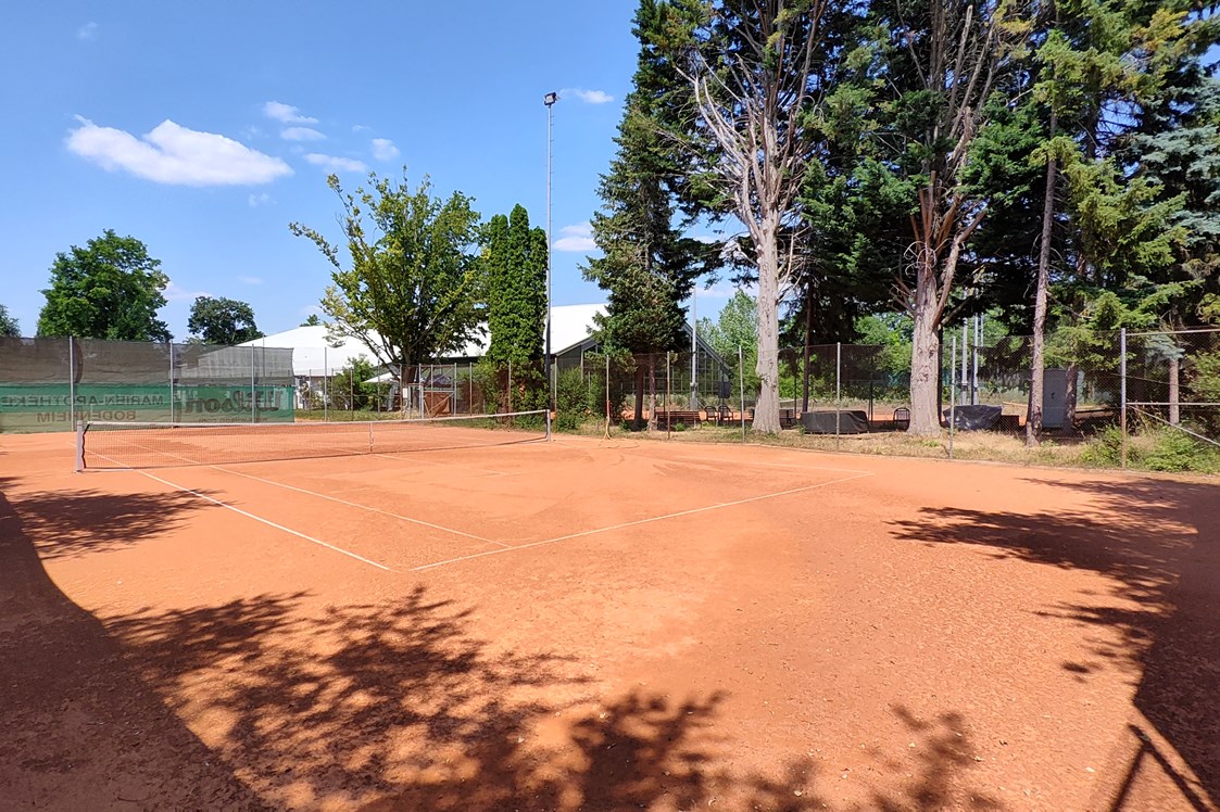 Schnuppertennis: Bodenheimer Tennis Centrum e. V.