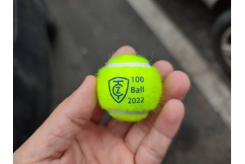 Tennispartner: Schlüsselanhänger mit Logo. - Vibra-Stop