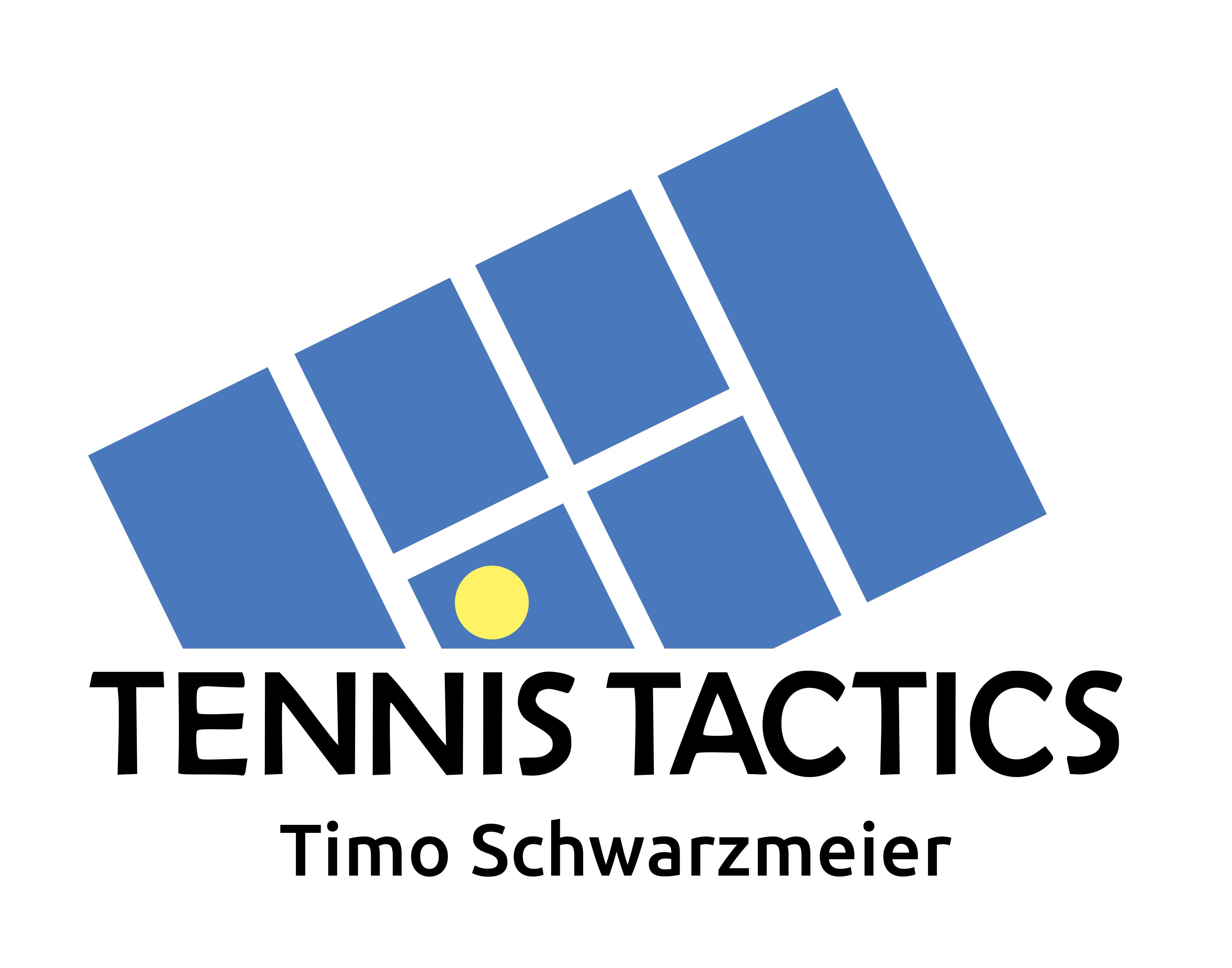 Tennisvereine - Meine Portfolios: Leistungstraining - TENNISTACTICS Timo Schwarzmeier